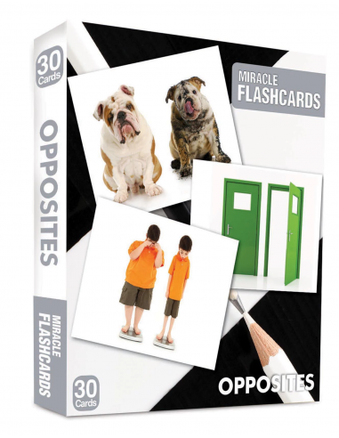 Opposites Miracle Flashcards 30 Cards - MK Publications