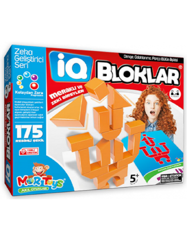 Mortoys IQ Bloklar